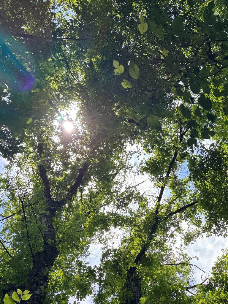 新たな命を迎える、その前に伝えたいこと｜たかき医院・高木成子先生